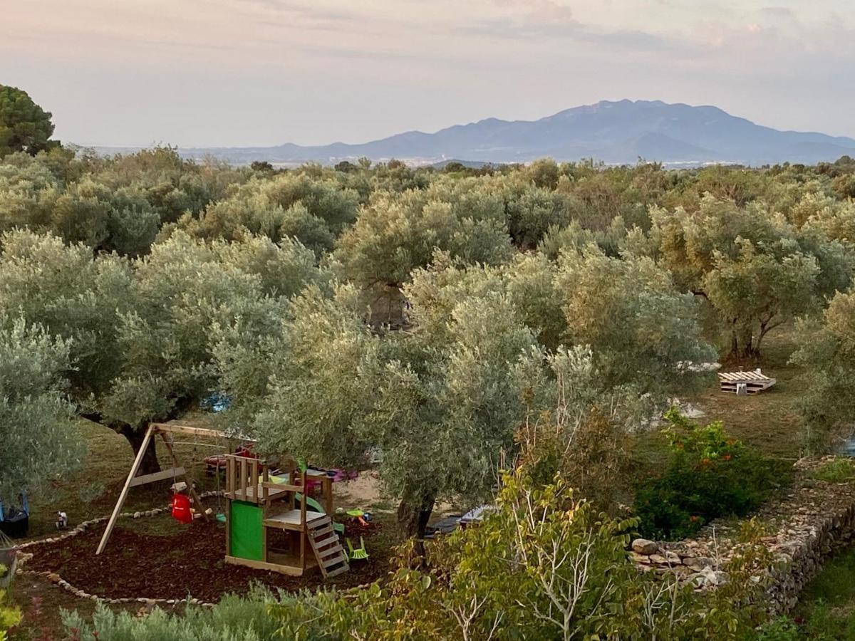 Paraiso Bell Tent طرطوشة المظهر الخارجي الصورة
