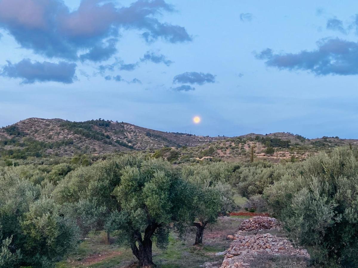 Paraiso Bell Tent طرطوشة المظهر الخارجي الصورة