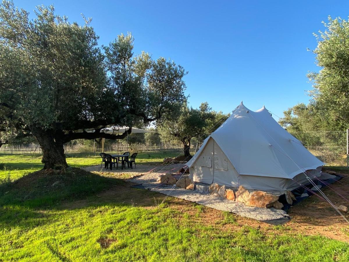 Paraiso Bell Tent طرطوشة المظهر الخارجي الصورة