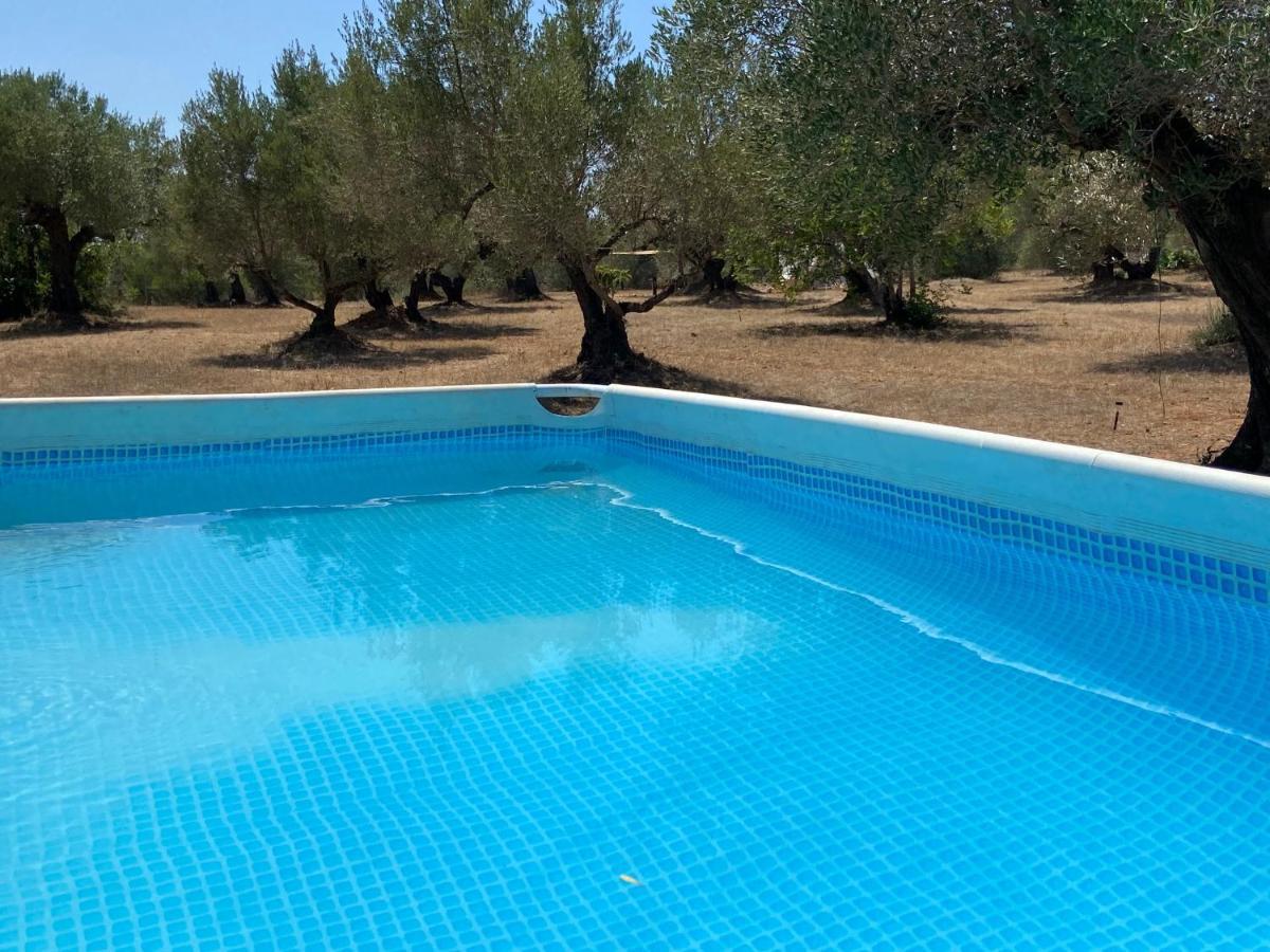 Paraiso Bell Tent طرطوشة المظهر الخارجي الصورة