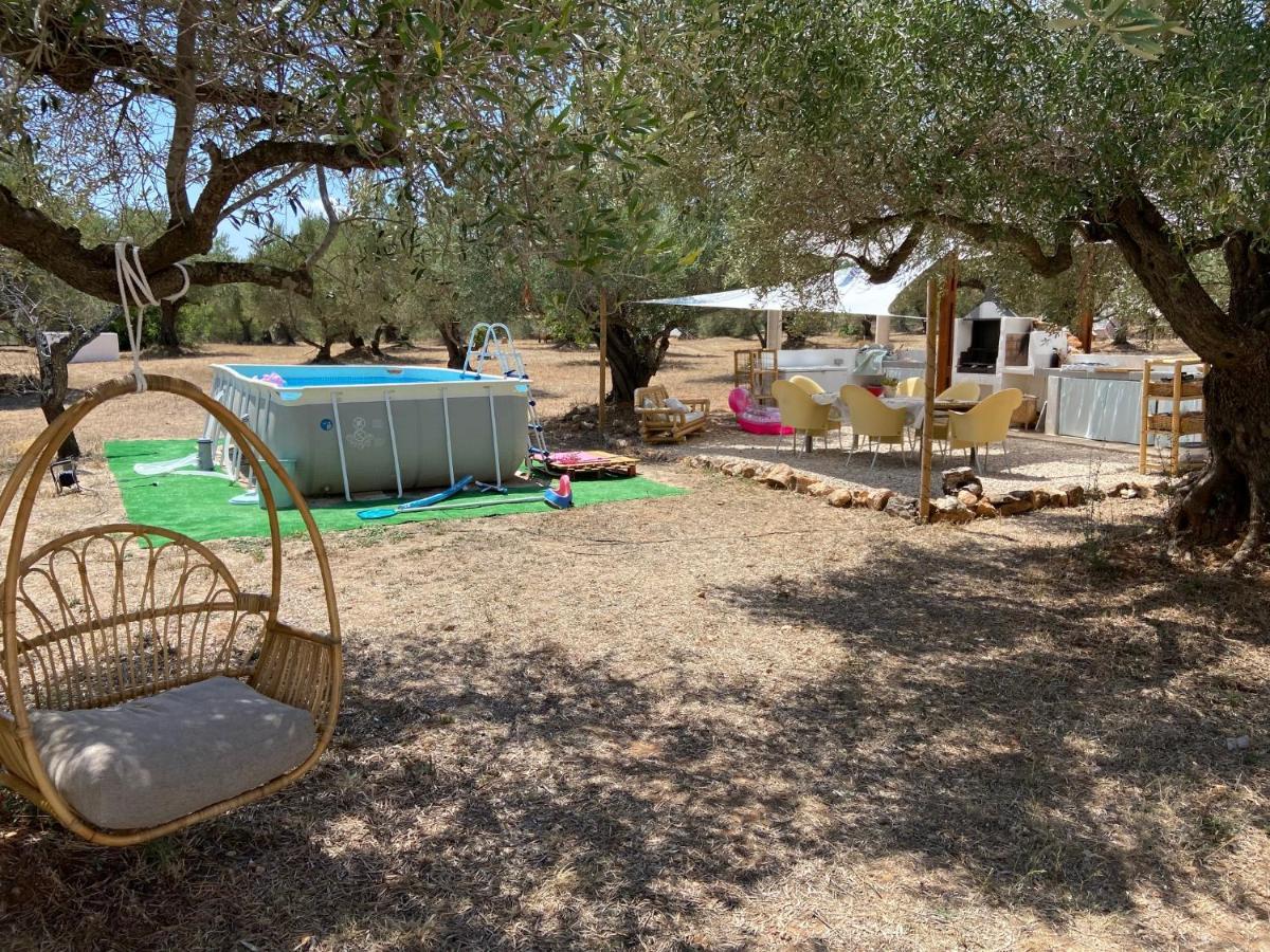 Paraiso Bell Tent طرطوشة المظهر الخارجي الصورة